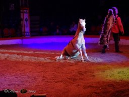 Circus YAKARI Show am 04.10.2024